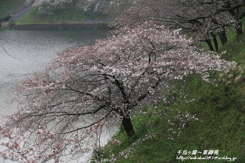 e0052135_18335419.jpg