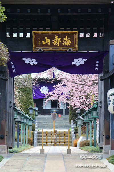 c0080036_211466.jpg