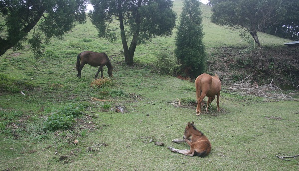 f0042737_8173476.jpg