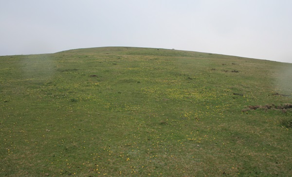 f0042737_8224865.jpg