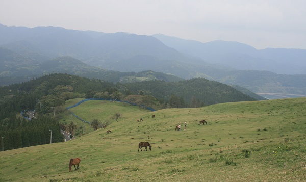 f0042737_8255916.jpg