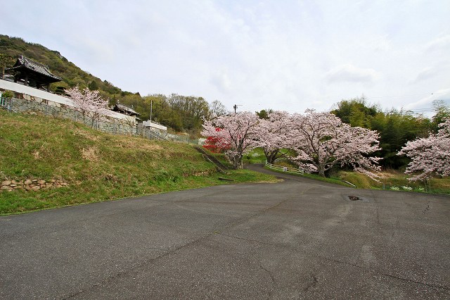 a0242438_20275534.jpg