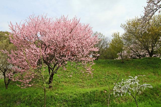 a0242438_20285799.jpg