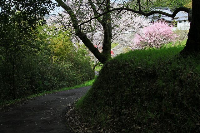 a0242438_20292783.jpg