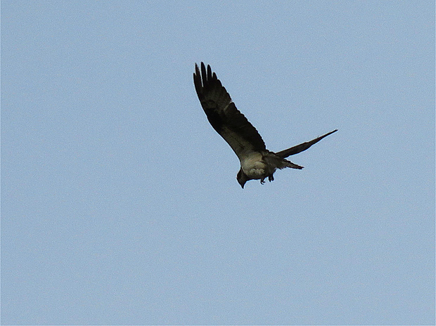 f0214649_337183.jpg