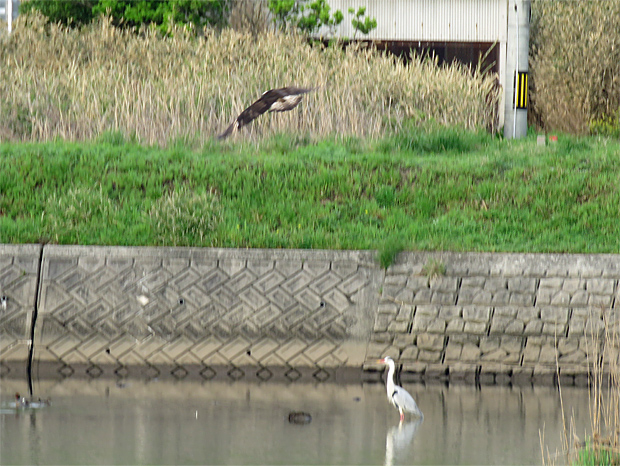 f0214649_342067.jpg