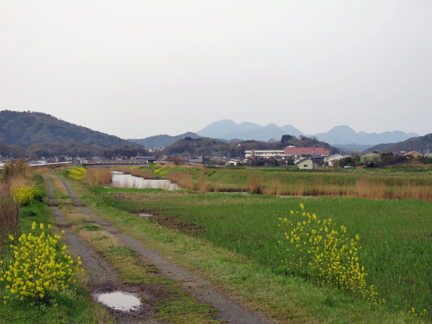 f0214649_3454060.jpg