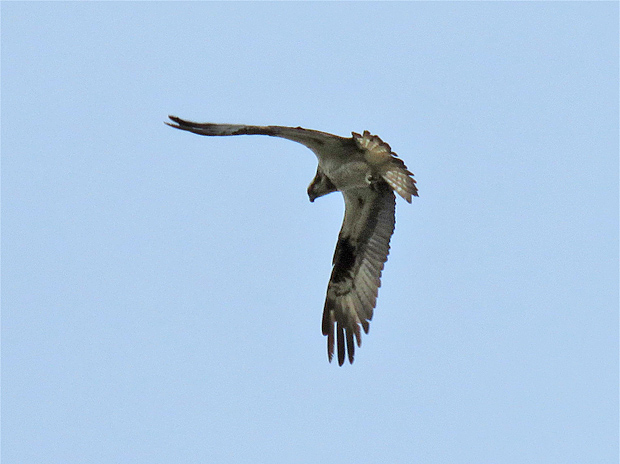 f0214649_349094.jpg