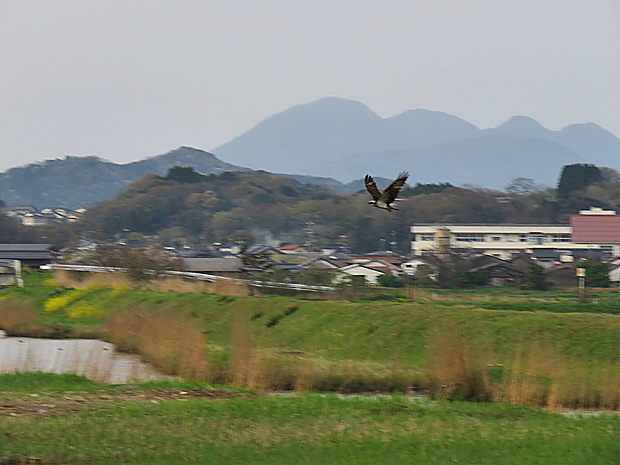 f0214649_3541580.jpg
