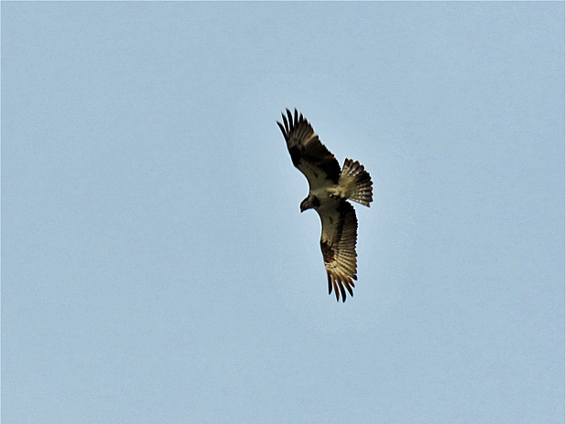 f0214649_3582692.jpg