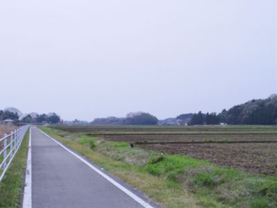 b0220251_636037.jpg