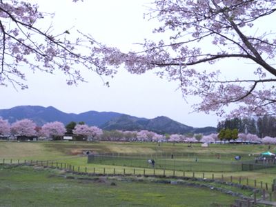 b0220251_6373660.jpg