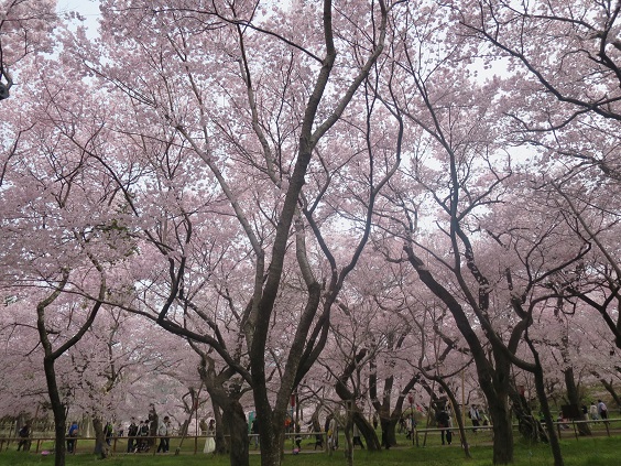 f0202151_21404337.jpg