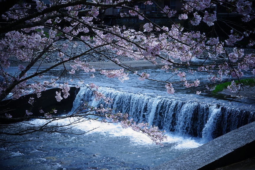 c0350754_14283550.jpg