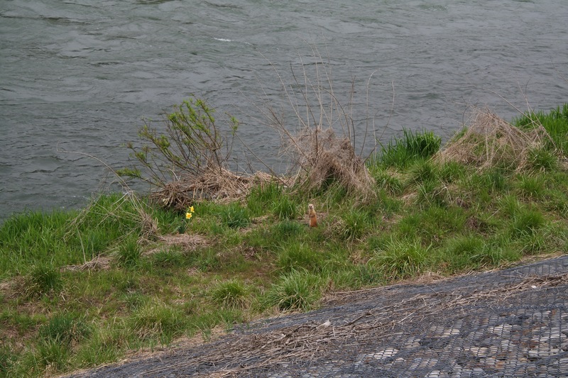 c0140260_2350407.jpg