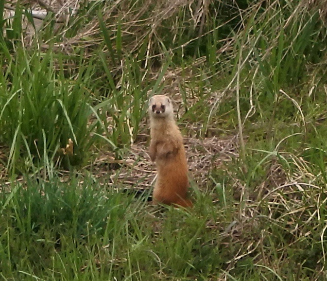 c0140260_23512544.jpg