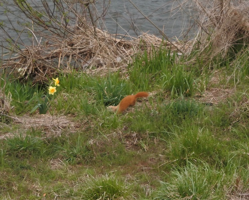 c0140260_23522236.jpg