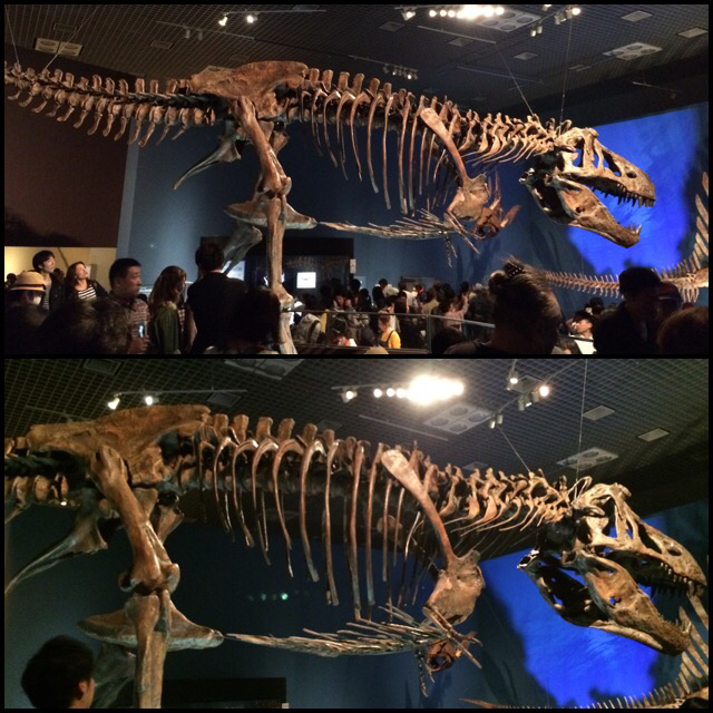 d0107660_00064334.jpg
