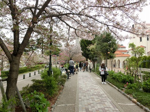 a0331562_072489.jpg