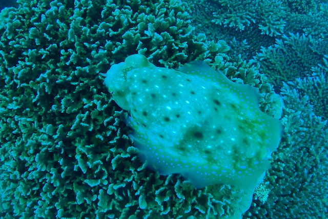 b0062363_1604029.jpg
