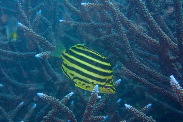 b0062363_161556.jpg