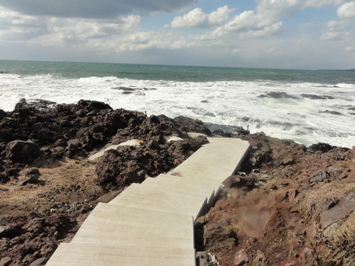 d0029363_0383449.jpg