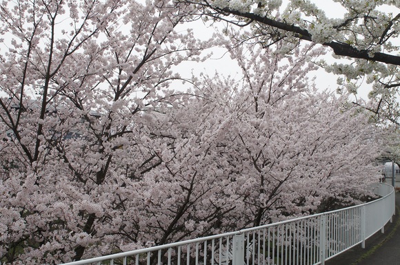 a0193767_231067.jpg
