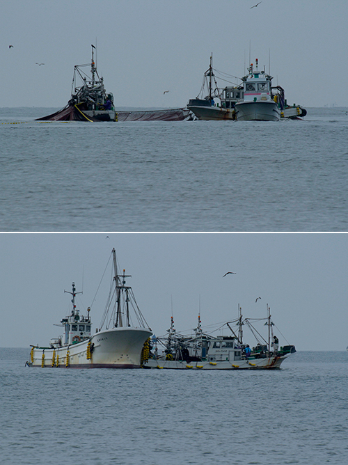 a0157069_0223416.jpg