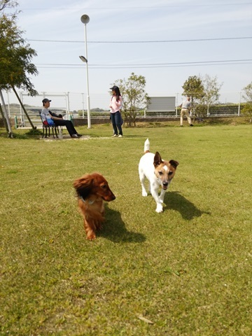 f0100871_13431961.jpg