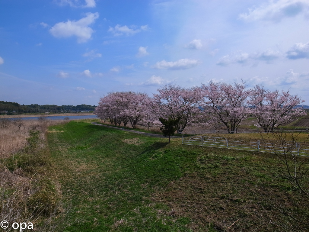 b0247073_22532030.jpg