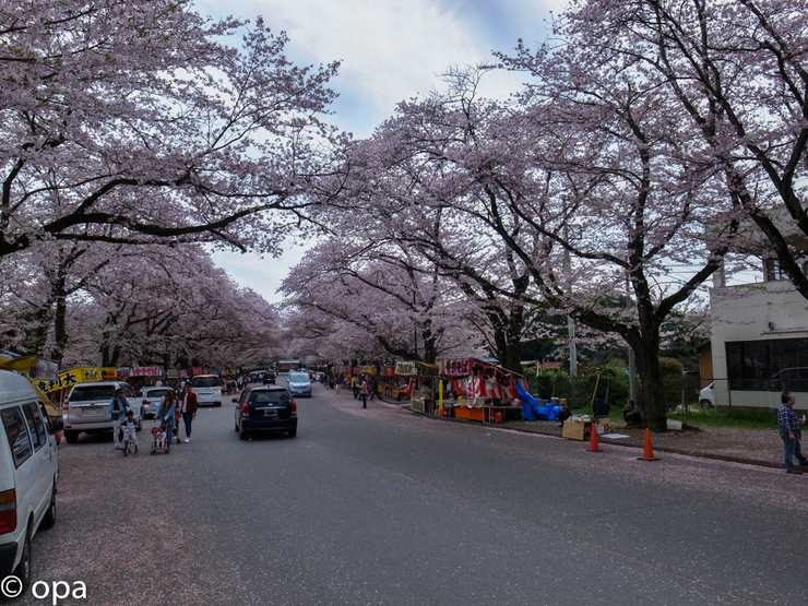 b0247073_22585878.jpg