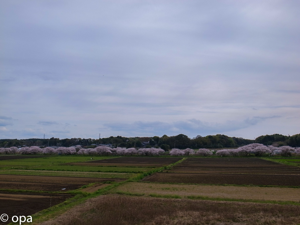 b0247073_2259525.jpg