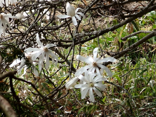 a0347276_05080181.jpg