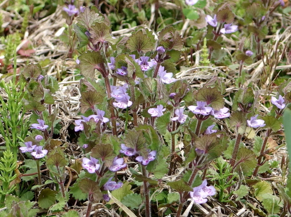 a0347276_05091639.jpg