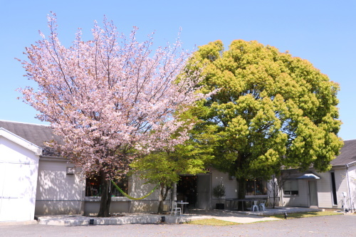 d0334676_22215233.jpg