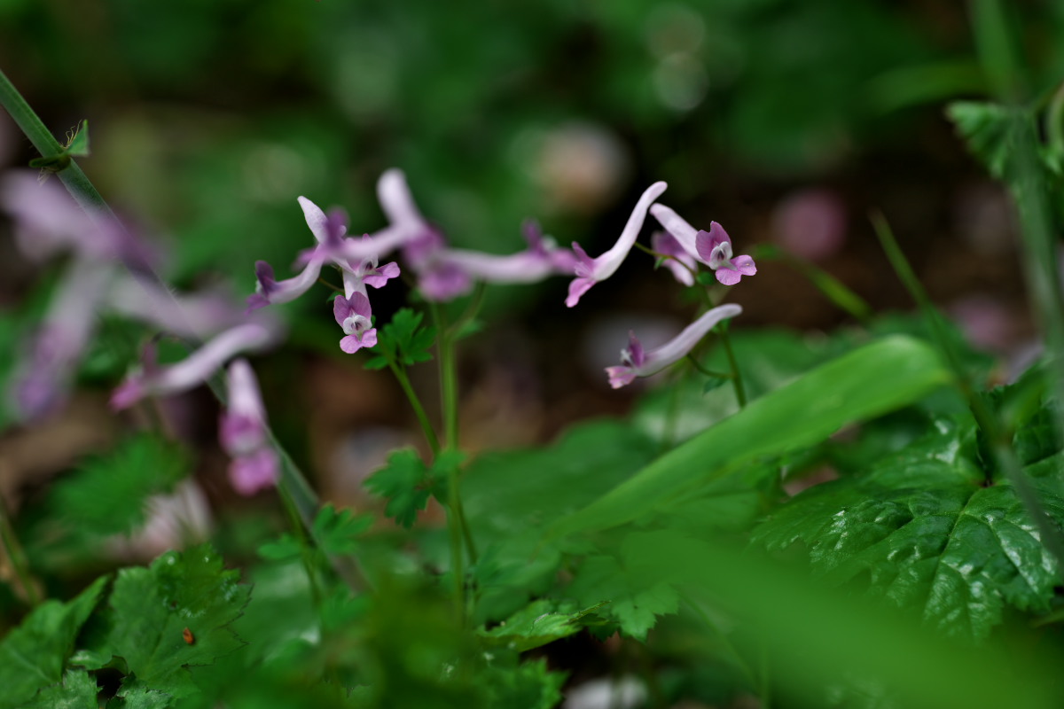 a0083081_106315.jpg