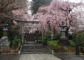 f0003283_13201288.jpg