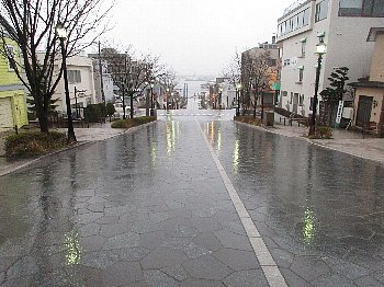 f0003283_21121548.jpg