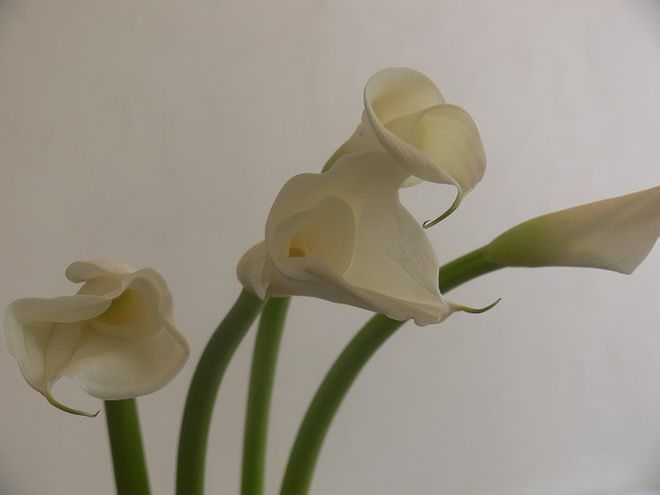 e0140986_16221773.jpg