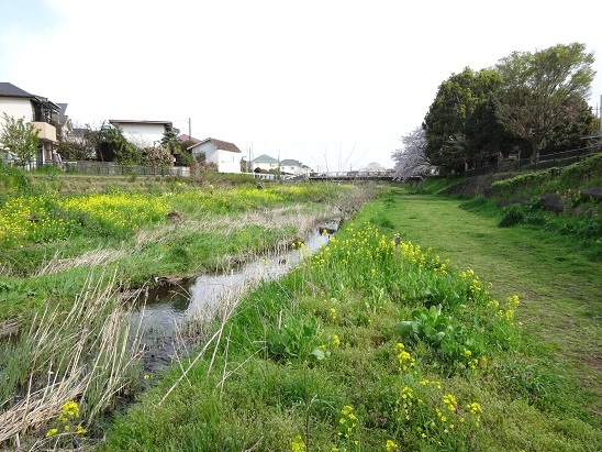 d0183387_09071125.jpg