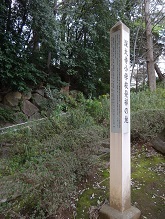 d0183387_10070830.jpg