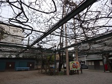d0183387_13184706.jpg