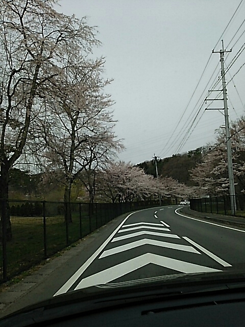 b0163088_08111094.jpg