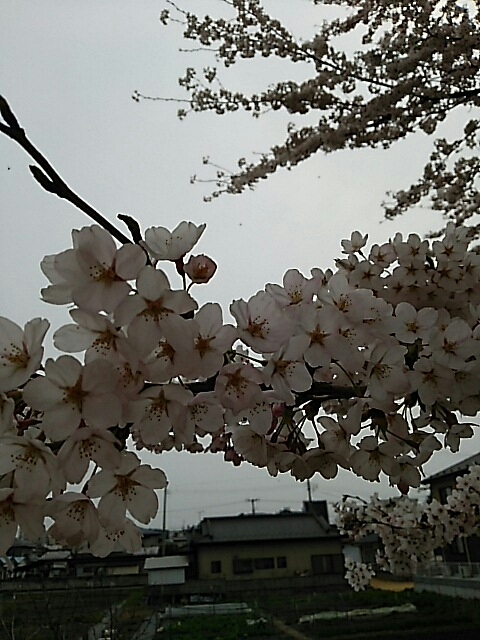 b0163088_08111407.jpg