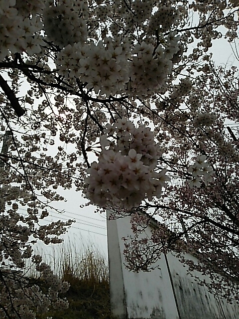 b0163088_08112174.jpg