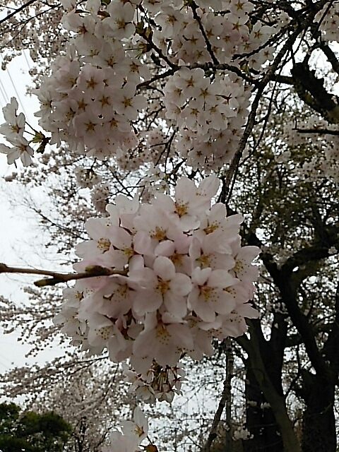b0163088_08112380.jpg