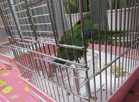 f0234590_9375583.png