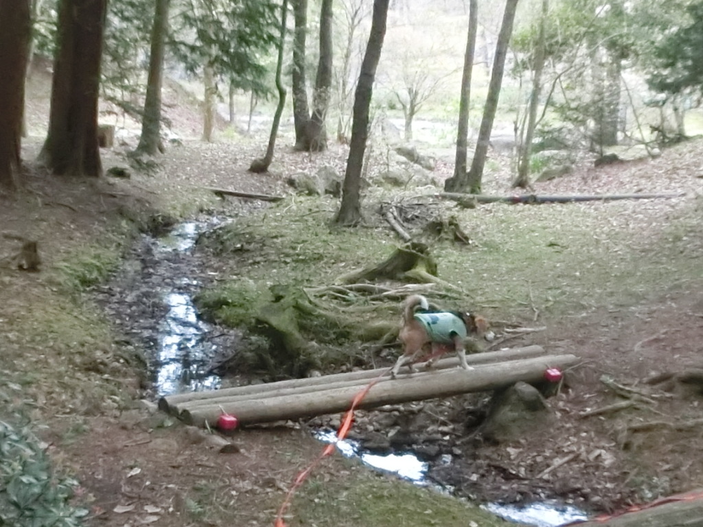a0319693_847618.jpg