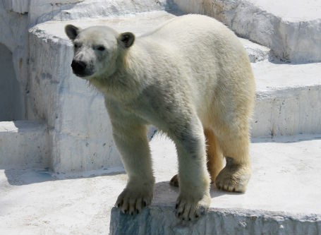 f0297893_1772015.jpg