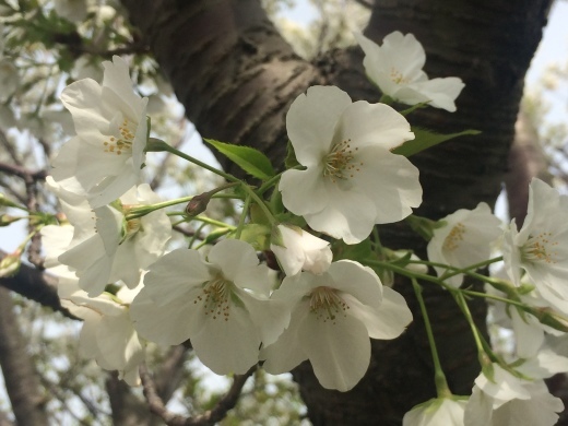 f0201297_01034687.jpg